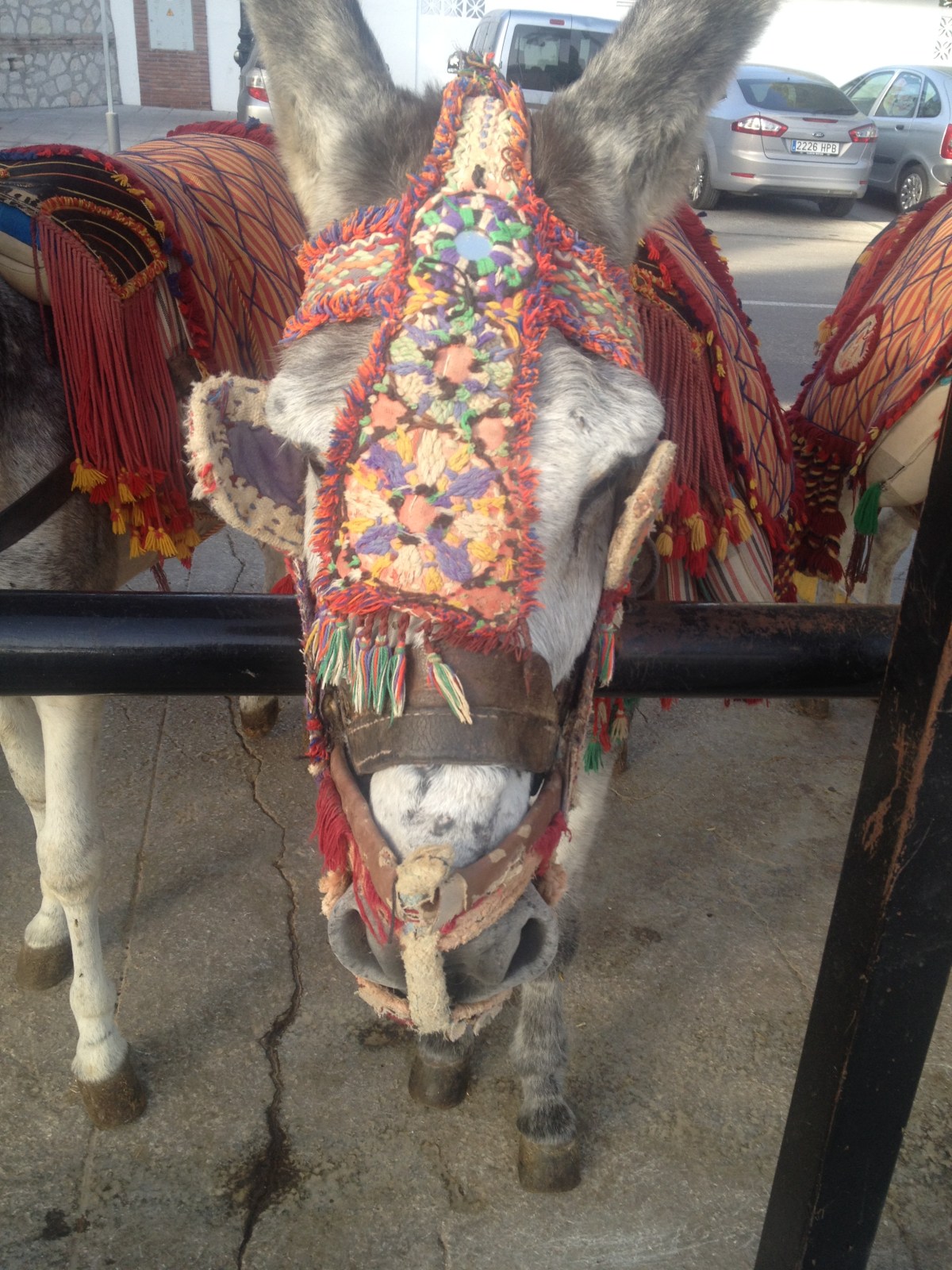 La Cucaracha (The&nbsp;Cockroach)