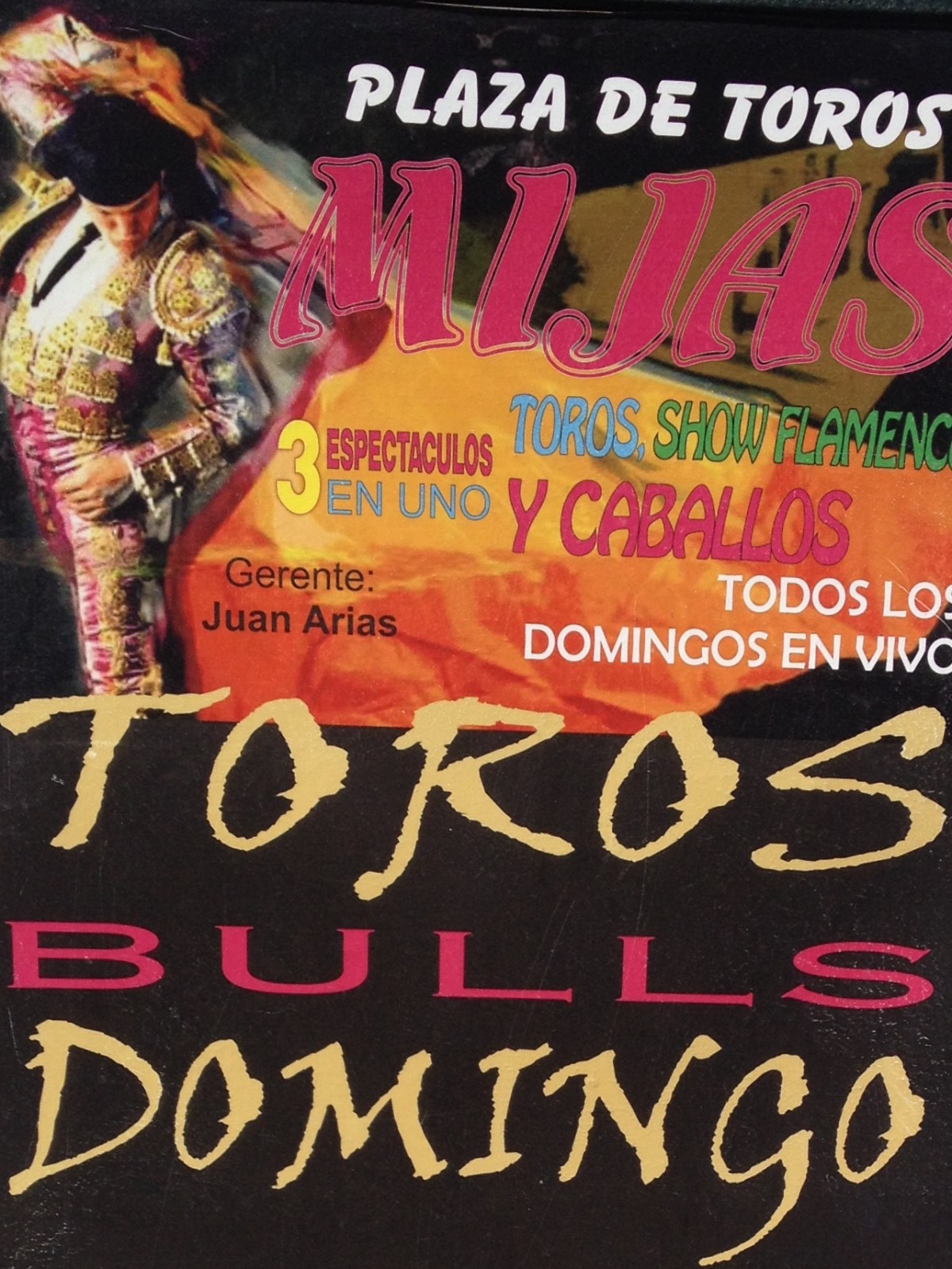 Toros y Matadores
