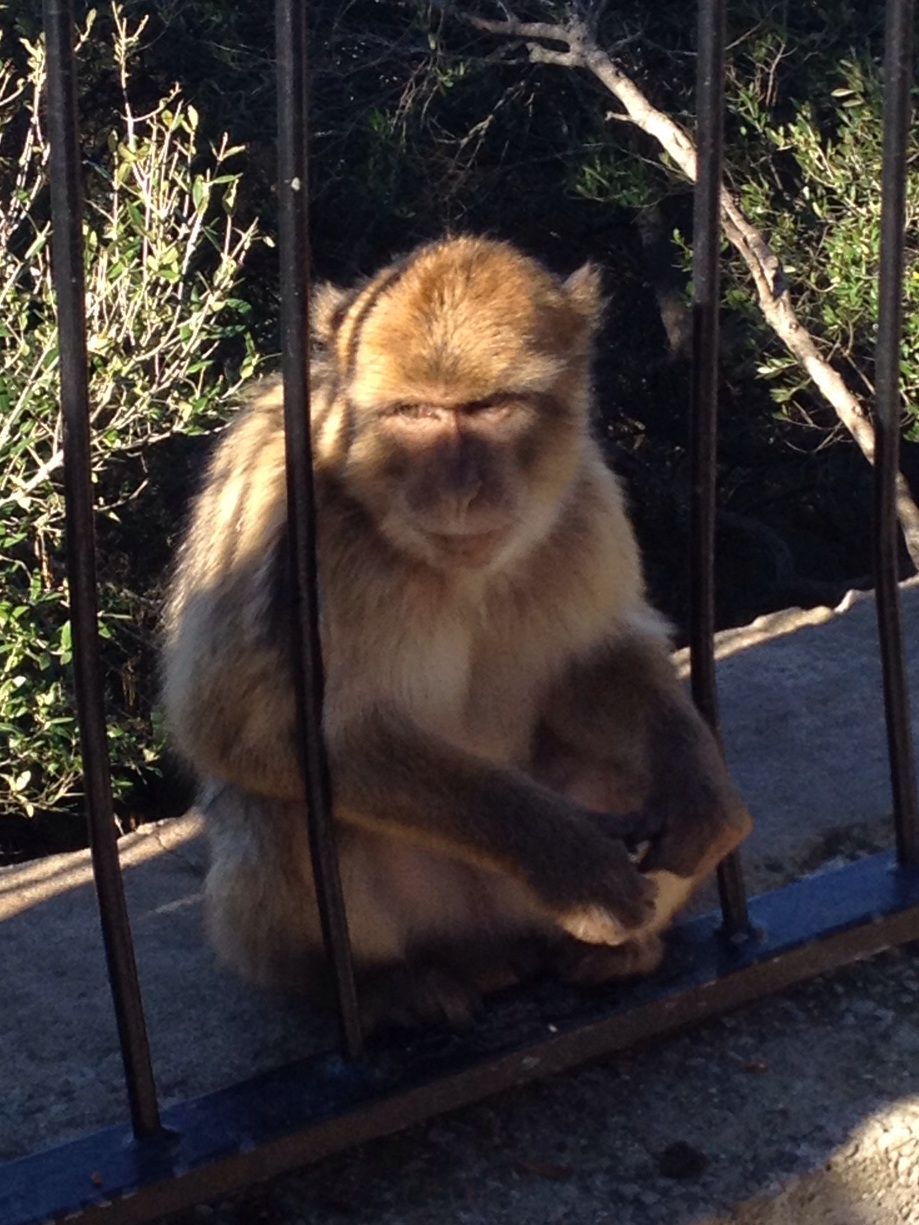 My Day Trip to&nbsp;Gibraltar