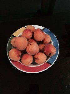 My fresh apricots
