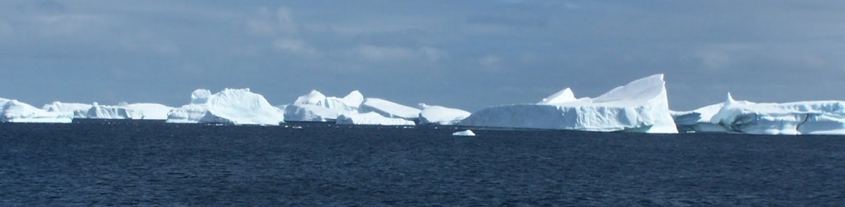 Adventure to Antarctica!