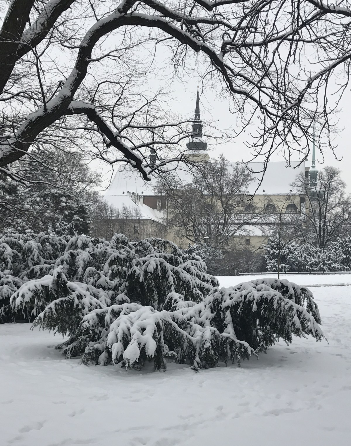 Brno Snowfall Reminds Me of&nbsp;Home