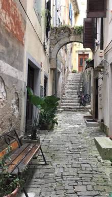 20374562_1618729968137155_6900413039161388445_n