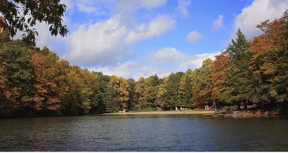 My Blueberry Popsicle&nbsp;Memory